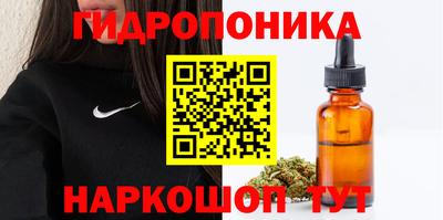 крисы Малоярославец