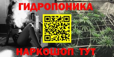 прущие грибы Мариинск