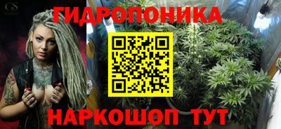 спайс Малгобек