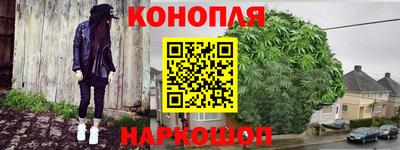крисы Малоярославец