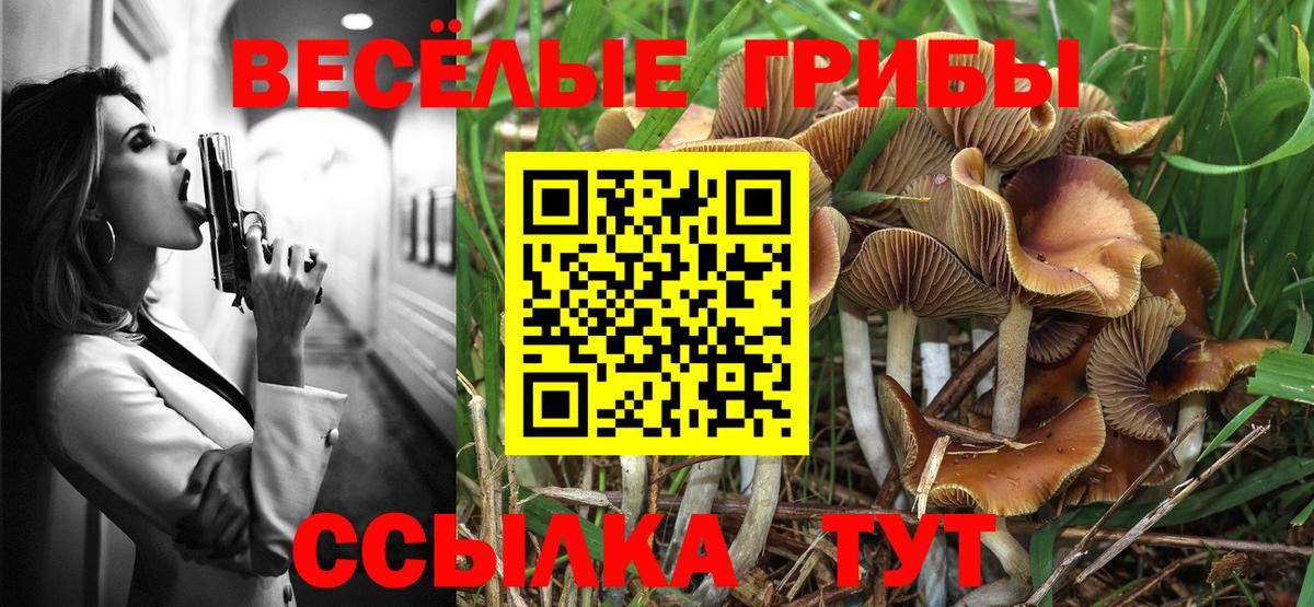 Галлюциногенные грибы мицелий Строитель